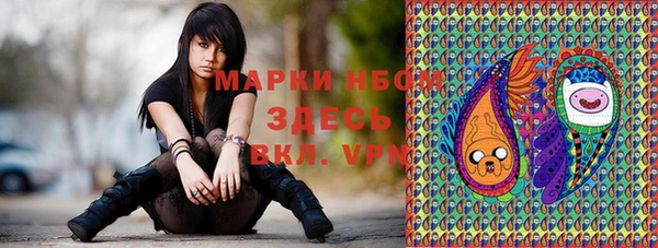 крисы Аркадак
